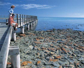 Hamelin Pool Stromatolites - New Castle Holiday 3