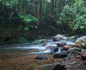 Protesters Falls - New Castle Holiday 1