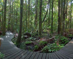 Protesters Falls - New Castle Holiday 4