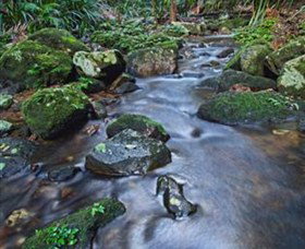 Protesters Falls - New Castle Holiday 7