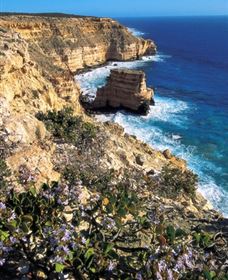 Coastal Cliffs - New Castle Holiday 2