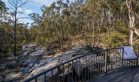 Myanba Gorge Walking Track - New Castle Holiday 0