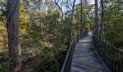 Myanba Gorge Walking Track - New Castle Holiday 1