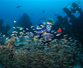 Aarhus Dive Site - New Castle Holiday 0