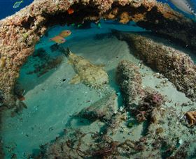 Aarhus Dive Site - New Castle Holiday 3