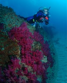 Aarhus Dive Site - New Castle Holiday 2