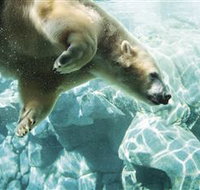 Australia's Sea World - New Castle Holiday