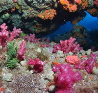 Cherubs Cave Dive Site - New Castle Holiday