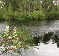 Wallingat National Park - New Castle Holiday
