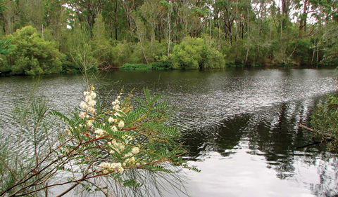Wallingat National Park - New Castle Holiday 0