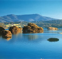 Wagonga Picnic Area - New Castle Holiday