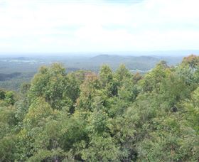 North Coast NSW New Castle Holiday