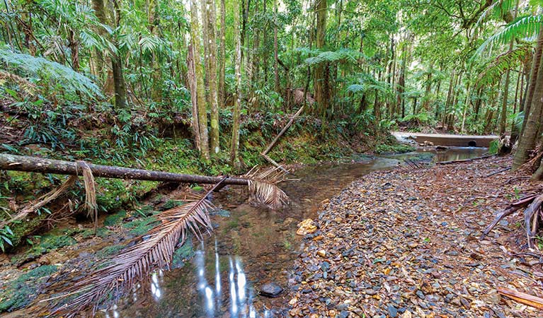 Karangi NSW New Castle Holiday