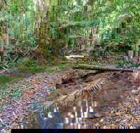 Ulidarra National Park - New Castle Holiday
