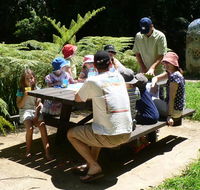 The Pines picnic area - New Castle Holiday