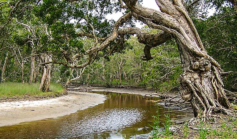 Saltwater NSW New Castle Holiday