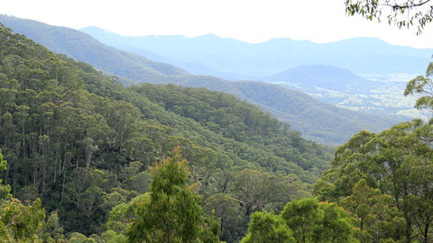 South East Forests National Park - New Castle Holiday 1