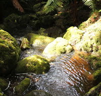 South East Forests National Park - New Castle Holiday