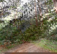 End Peak walking track - New Castle Holiday