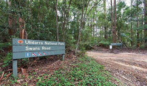 End Peak Walking Track - New Castle Holiday 1