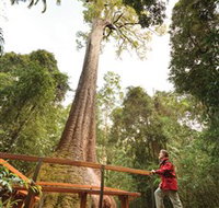 Old Bottlebutt - New Castle Holiday