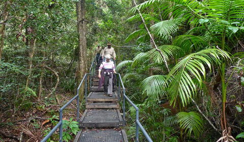 Falls Walking Track - New Castle Holiday 2