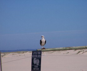 Manning Entrance State Park - New Castle Holiday 1