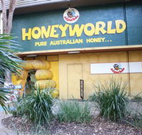 Superbee Honeyworld Gold Coast - New Castle Holiday