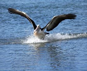 John Barton Photography - New Castle Holiday 1