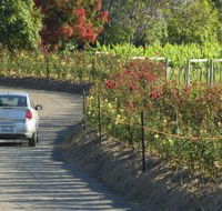 Cassegrain Wines - New Castle Holiday