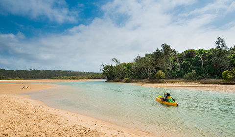 Moonee Beach Nature Reserve - New Castle Holiday 0