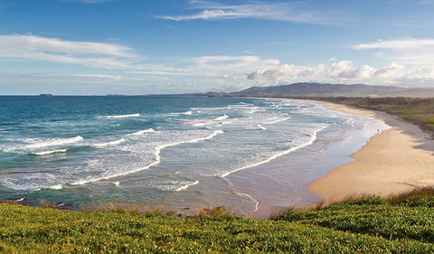 Moonee Beach Nature Reserve - New Castle Holiday 1