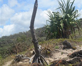 Chinamans Beach Evans Head - New Castle Holiday 2