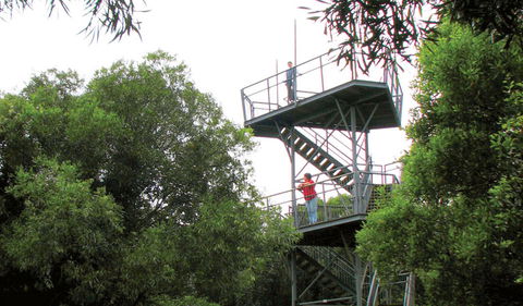Cape Hawke Lookout - New Castle Holiday 0