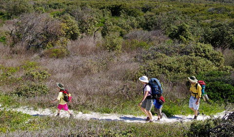 Yuraygir Coastal Walk - New Castle Holiday 0