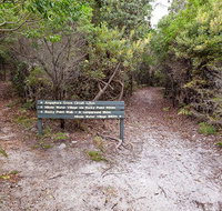 Angophora grove walking track - New Castle Holiday