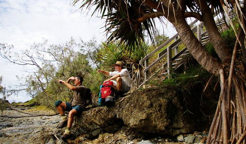 Illaroo To Wooli Walking Track - New Castle Holiday 1