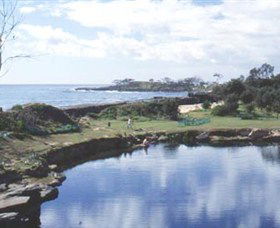 Angourie Blue Pool - New Castle Holiday 1