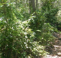 Bridle trail - New Castle Holiday