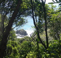 Rainforest walking track - New Castle Holiday