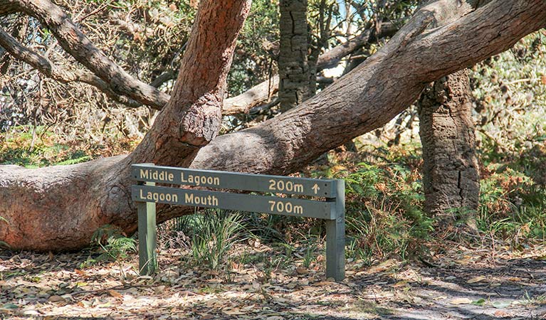 Pericoe NSW New Castle Holiday