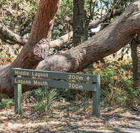 Middle Lagoon walking track - New Castle Holiday