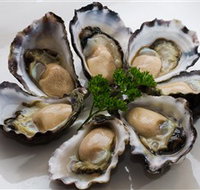 Tathra Oysters - New Castle Holiday