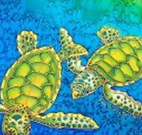 Sea Silks Gallery - New Castle Holiday