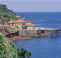 Merimbula Aquarium - New Castle Holiday