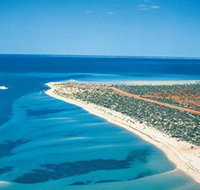 Monkey Mia - New Castle Holiday