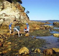 Sapphire Coast Marine Discovery Centre - New Castle Holiday