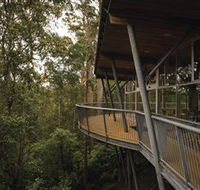 Tarkine Forest Adventures - Dismal Swamp - New Castle Holiday