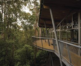 Tarkine Forest Adventures - Dismal Swamp - New Castle Holiday 0