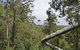 Tarkine Forest Adventures - Dismal Swamp - thumb 1